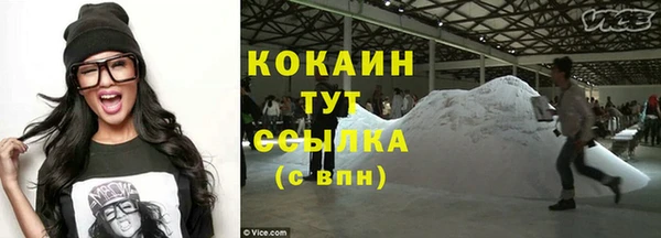 винт Абаза