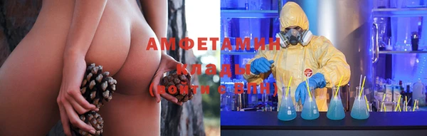 винт Абаза