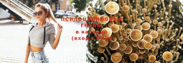винт Абаза