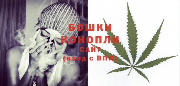 винт Абаза
