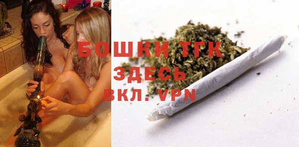винт Абаза