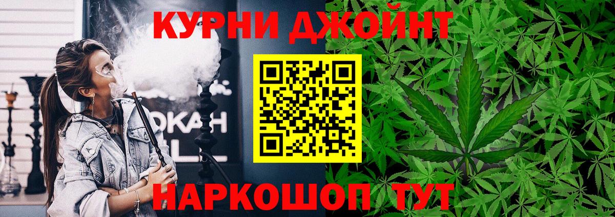 Конопля сатива Златоуст